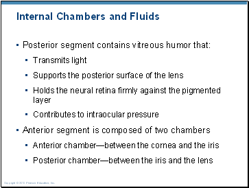 Internal Chambers and Fluids