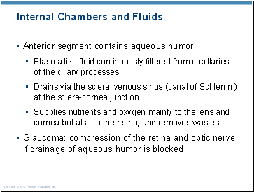 Internal Chambers and Fluids