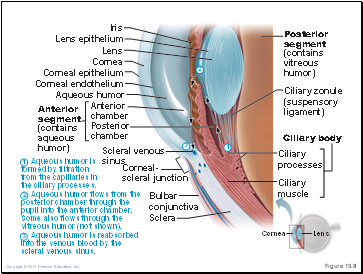 Figure 15.8