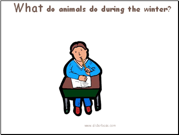 What do animals do during the winter?