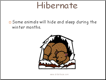 Hibernate