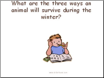 What are the three ways an animal will survive during the winter?