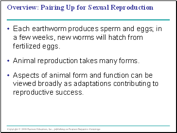 Pairing Up for Sexual Reproduction