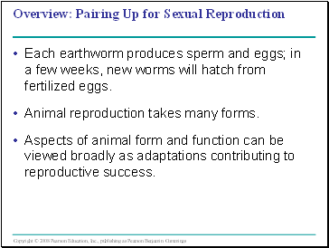 Animal Reproduction