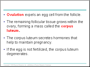 Ovulation expels an egg cell from the follicle.