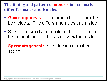 The timing and pattern of meiosis in mammals differ for males and females