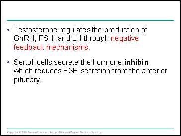Testosterone regulates the production of GnRH, FSH, and LH through negative feedback mechanisms.