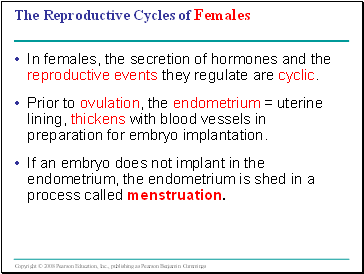 The Reproductive Cycles of Females