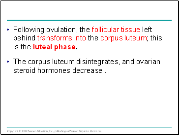 Following ovulation, the follicular tissue left behind transforms into the corpus luteum; this is the luteal phase.