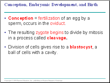 Conception, Embryonic Development, and Birth