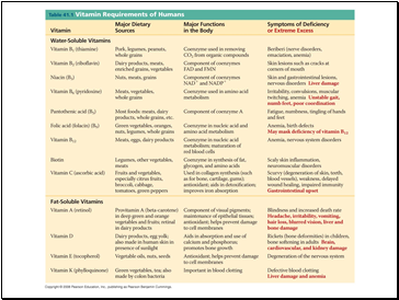 Animal Nutrition