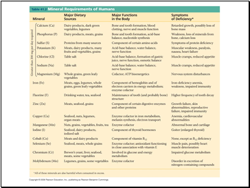 Animal Nutrition