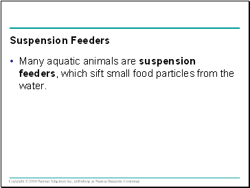 Suspension Feeders