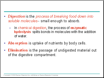 Digestion is the process of breaking food down into soluble molecules - small enough to absorb.