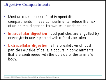 Digestive Compartments