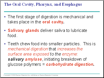 The Oral Cavity, Pharynx, and Esophagus