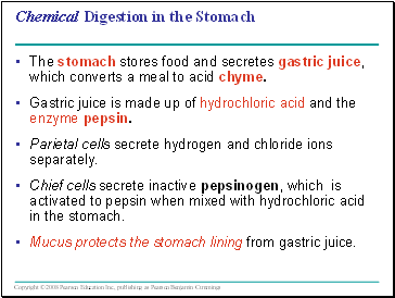 Chemical Digestion in the Stomach