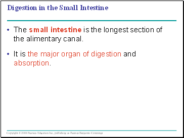 Digestion in the Small Intestine