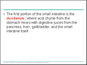 The first portion of the small intestine is the duodenum, where acid chyme from the stomach mixes with digestive juices from the pancreas, liver, gallbladder, and the small intestine itself.