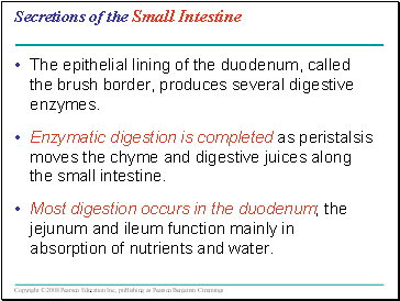 Secretions of the Small Intestine