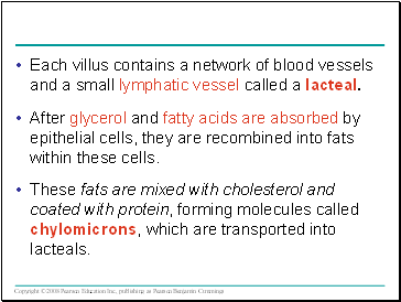 Each villus contains a network of blood vessels and a small lymphatic vessel called a lacteal.