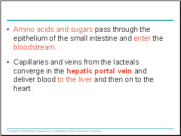 Amino acids and sugars pass through the epithelium of the small intestine and enter the bloodstream.