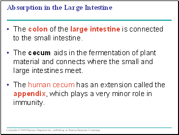 Absorption in the Large Intestine