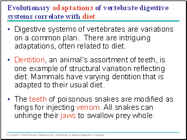 Evolutionary adaptations of vertebrate digestive systems correlate with diet