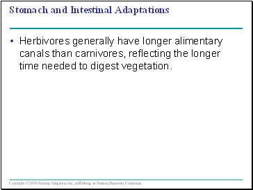 Stomach and Intestinal Adaptations