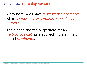 Mutualistic ++ Adaptations