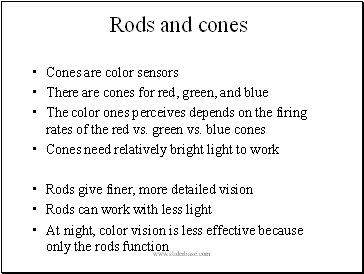 Rods and cones