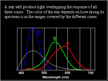 A star will produce light overlapping the response of all three cones. The color of the star depends on how strong its spectrum is in the ranges covered by the different cones.