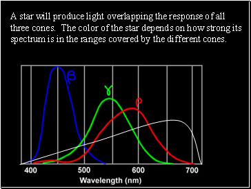 A star will produce light overlapping the response of all three cones. The color of the star depends on how strong its spectrum is in the ranges covered by the different cones.