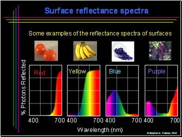 Surface reflectance spectra