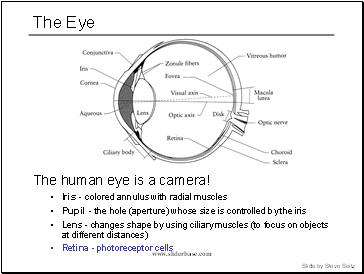 The Eye