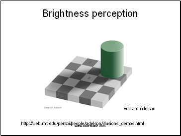 Brightness perception