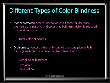 Different Types of Color Blindness