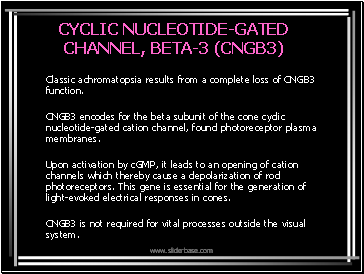 CYCLIC NUCLEOTIDE-GATED CHANNEL, BETA-3 (CNGB3)