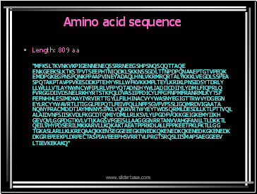 Amino acid sequence