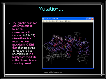 Mutation