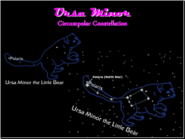 Ursa Minor Circumpolar Constellation