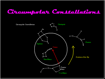 Circumpolar Constellations