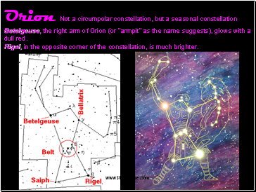 Orion Not a circumpolar constellation, but a seasonal constellation Betelgeuse, the right arm of Orion (or "armpit" as the name suggests), glows with a dull red. Rigel, in the opposite corner of the constellation, is much brighter.
