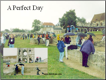 A Perfect Day