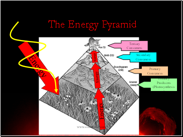 The Energy Pyramid