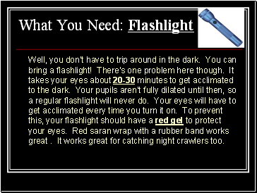 What You Need: Flashlight