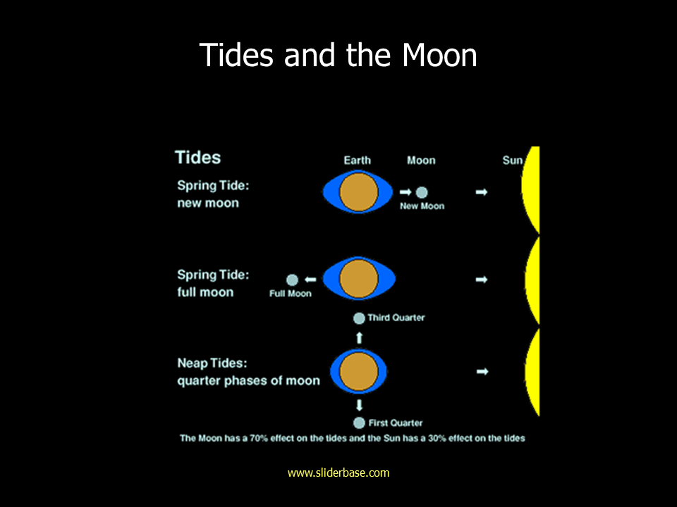 Сизигия это. Сизигия и квадратура фазы Луны. Сизигия и квадратура приливы. Сизигия (астрономия). Фазы Луны и приливы.