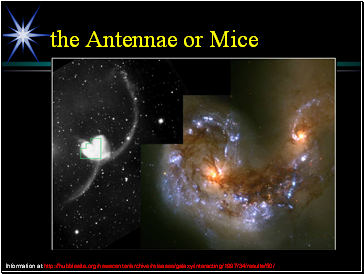 the Antennae or Mice