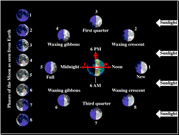 Phases of the Moon