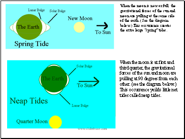 When the moon is new or full, the gravitational forces of the sun and moon are pulling at the same side of the earth. (See the diagram below.) This occurrence creates the extra large "spring" tides.